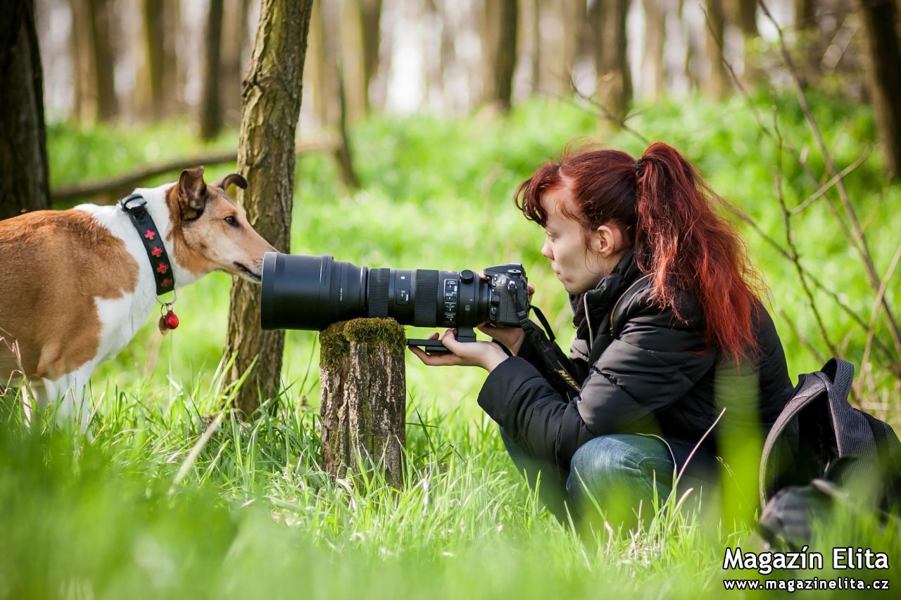 Skvělé tipy od profesionální fotografky, jak dokonale zachytit svého domácího mazlíčka!