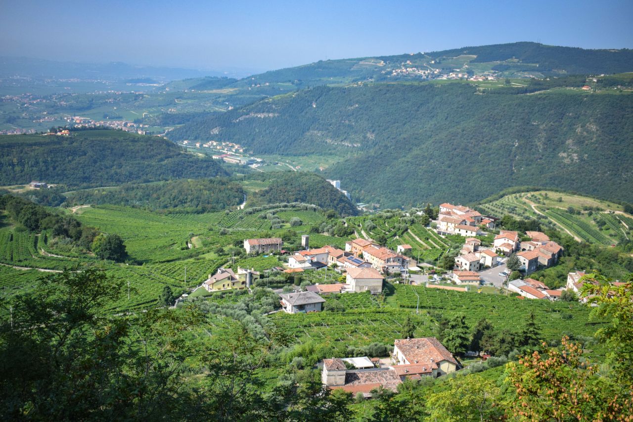 Amarone, Recioto, Valpolicella, Ripasso a spol. – region Valpolicella nabízí rozmanitá vína