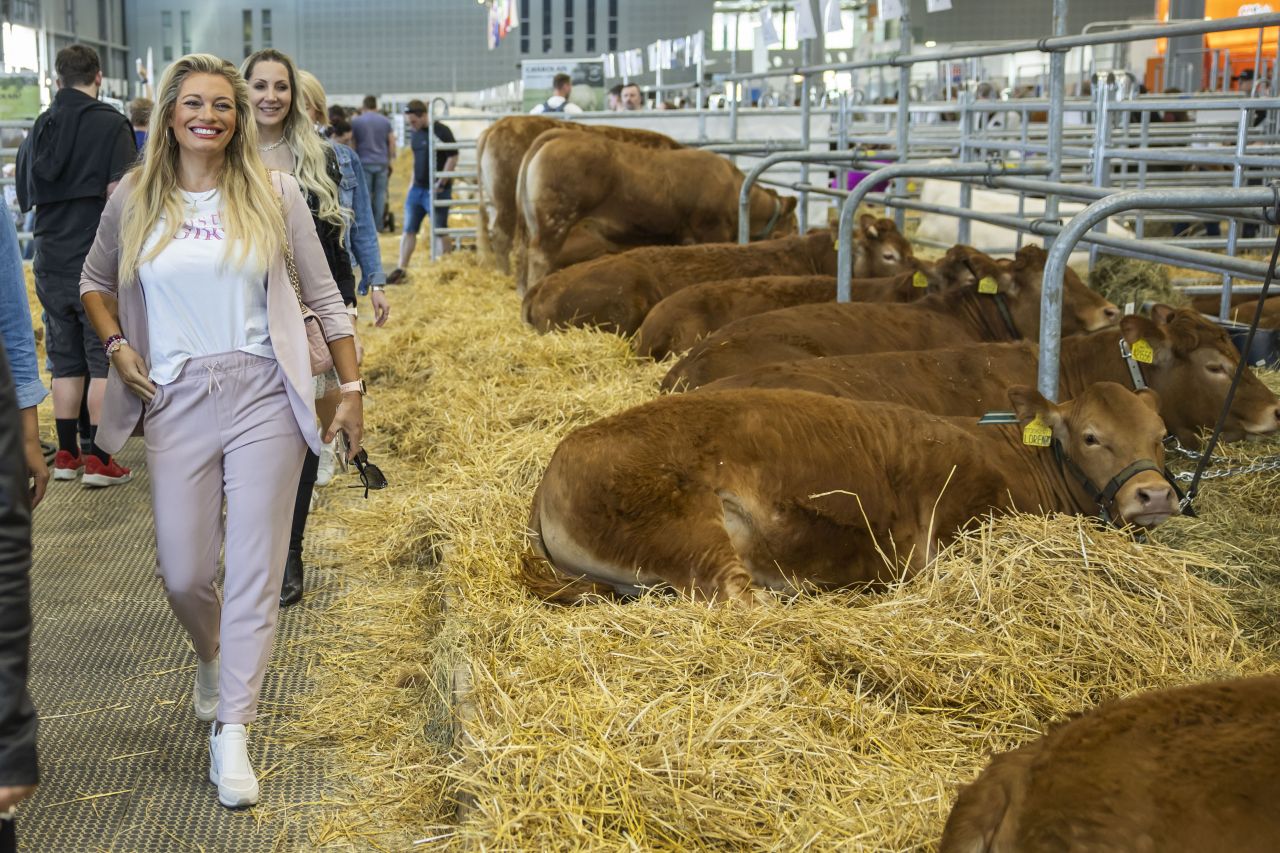 Lucie Borhyová má z koní respekt, ale chovnou stanici poníků by prý asi mít mohla…