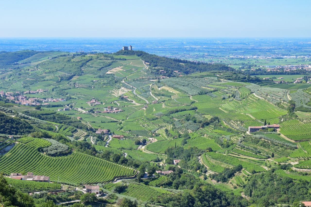 Terroir, tajemství jedinečnosti vín Valpolicella