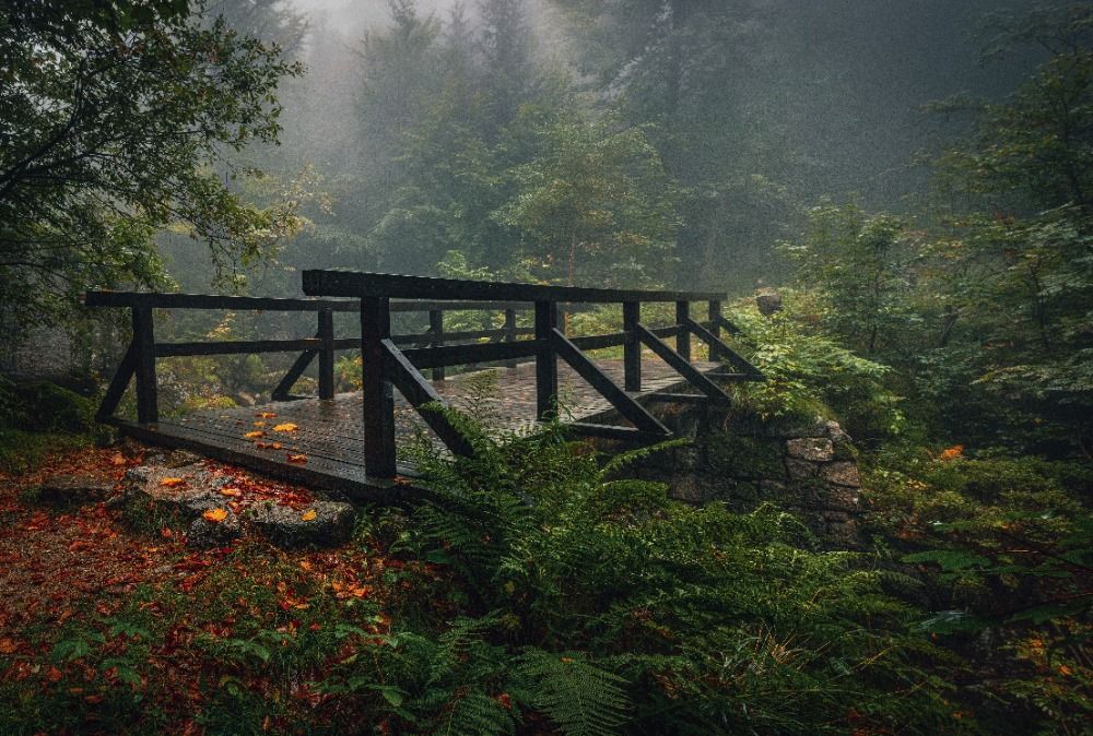 Kam na podzimní výlet? Do Jizerských hor za klidem i zážitky