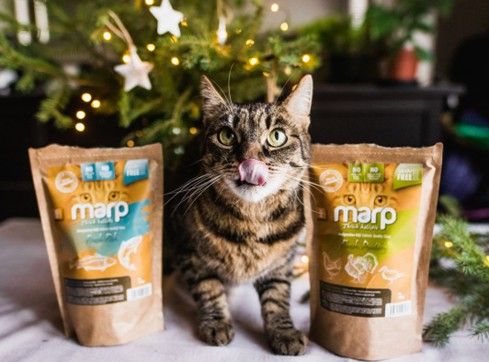 Pelíšky, hračky i dobroty: Vánoční inspirace pro vašeho chlupáče