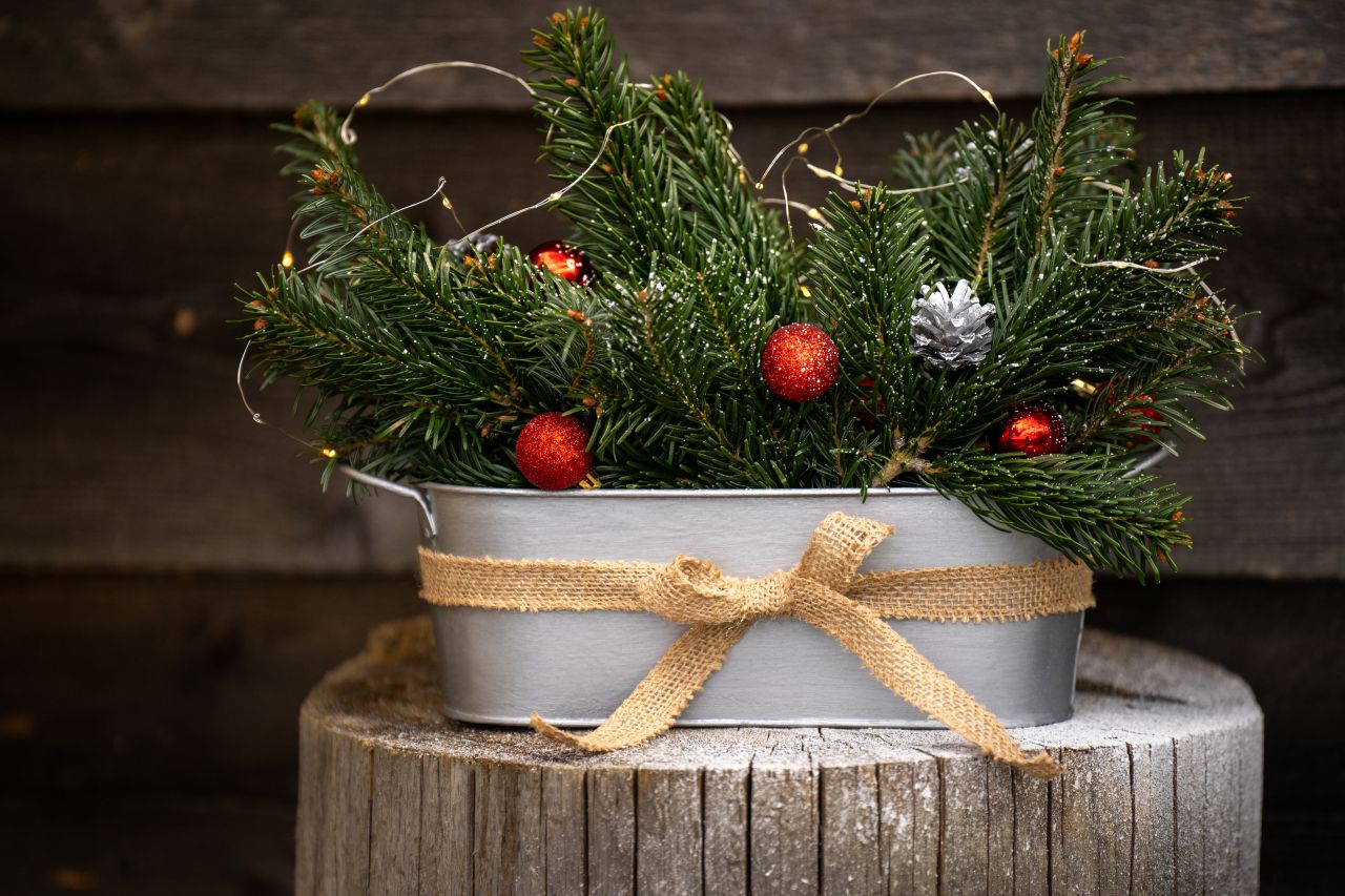 Jak oživit parapet v zimě? Vytvořte si zimní truhlík!