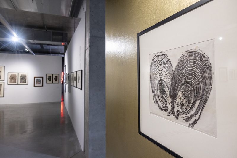 Galerie Gong vystavuje jedinečnou kolekci 183 dřevořezů Heleny Salichové