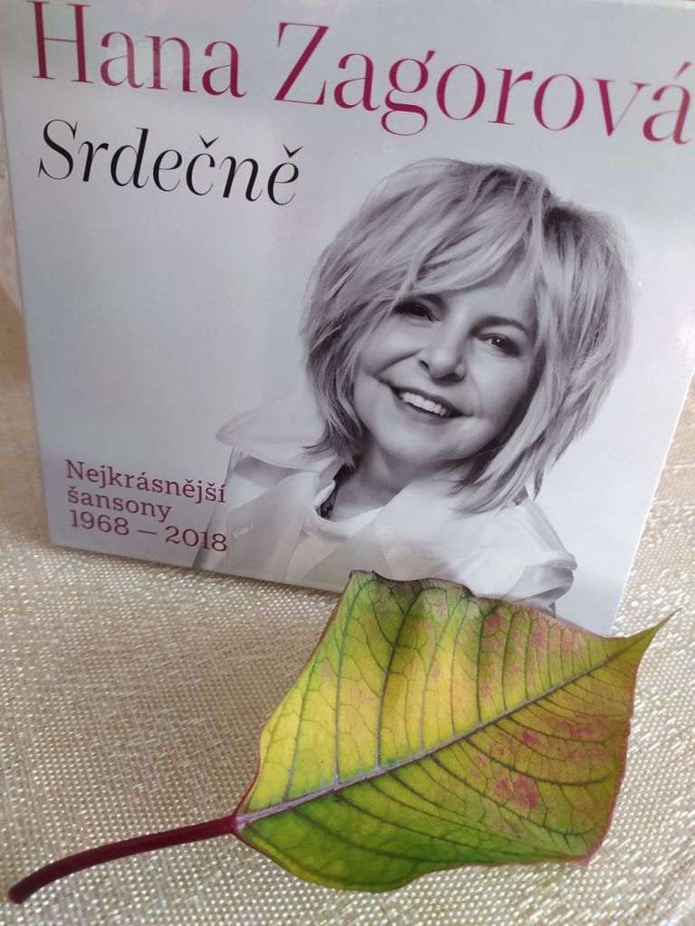 Hana Zagorová jako žena mnoha talentů nabízí v šansonech krásu a oduševnělost