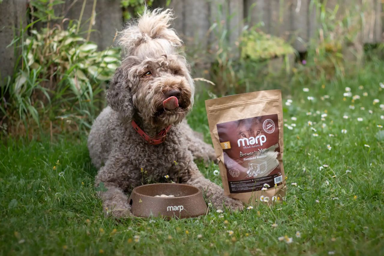 Pivovarské kvasnice, obojky, ultrazvuk: Jaká ochrana je nejlepší