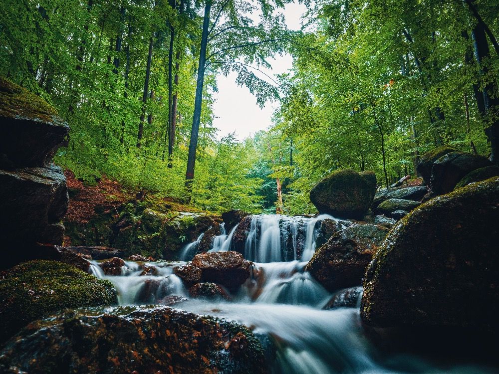 Májové Jizerky: kraj bučin, křišťálu a tiché romantiky