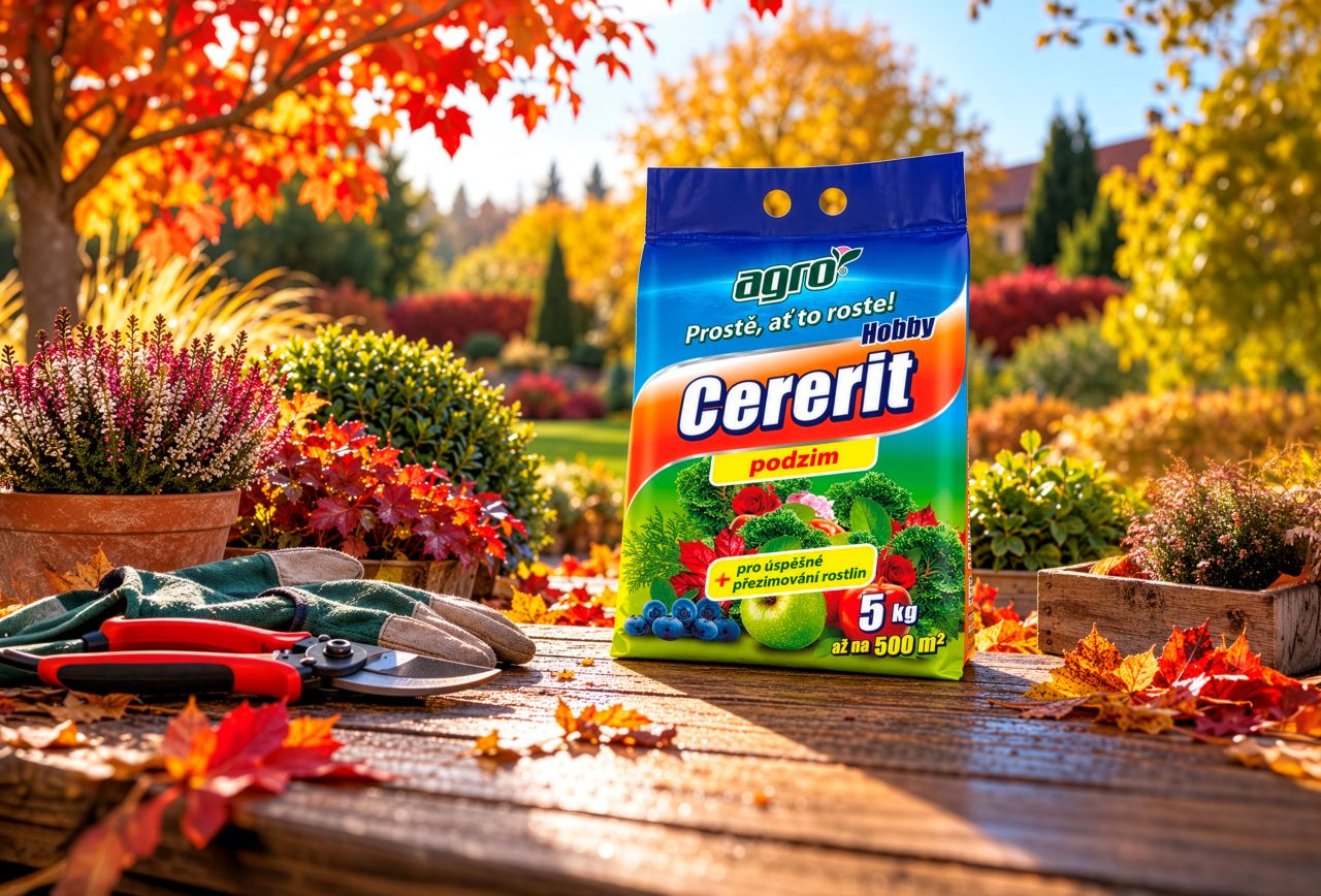Co zahrada opravdu potřebuje před zimou? Na některé práce je právě teď ten správný čas