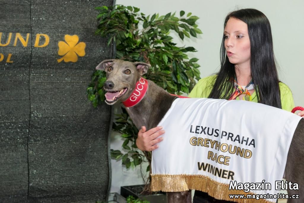 VÍTĚZOVÉ LEXUS PRAHA GREYHOUND RACE 2013 * GUCCI A GABBANA