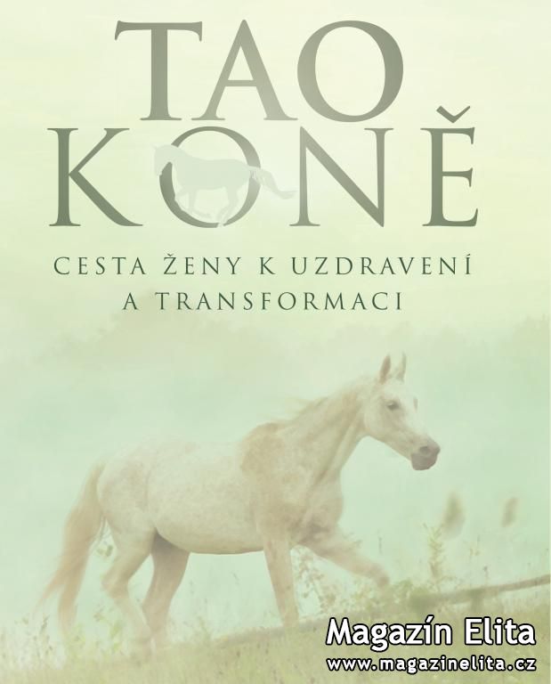 TAO KONĚ: CESTA ŽENY K UZDRAVENÍ A PROMĚNĚ