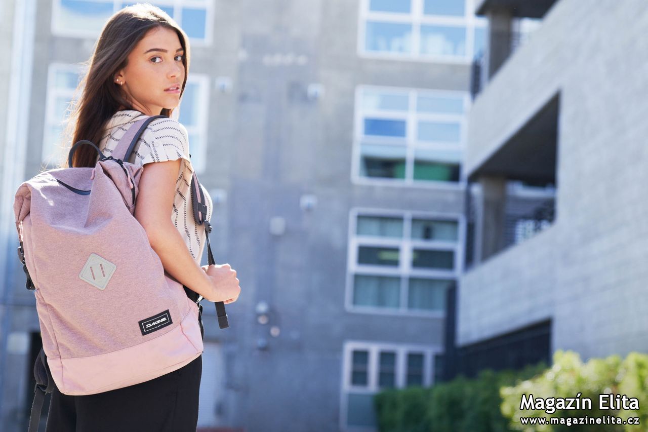 Dakine Infinity Pack  22 L - Night Sky