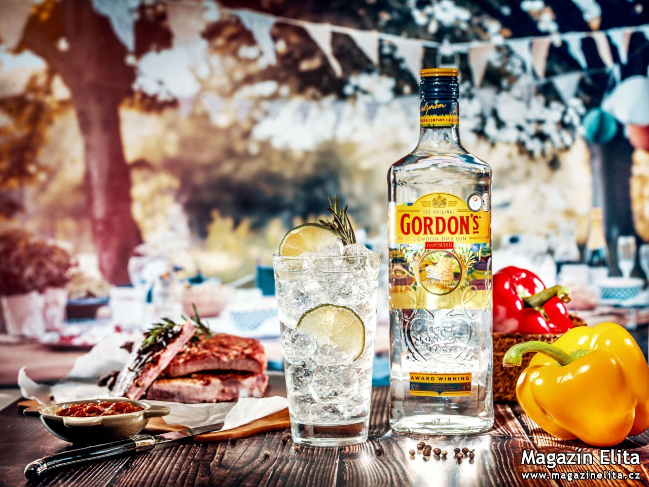 Co takhle dát si Gordon’s Gin