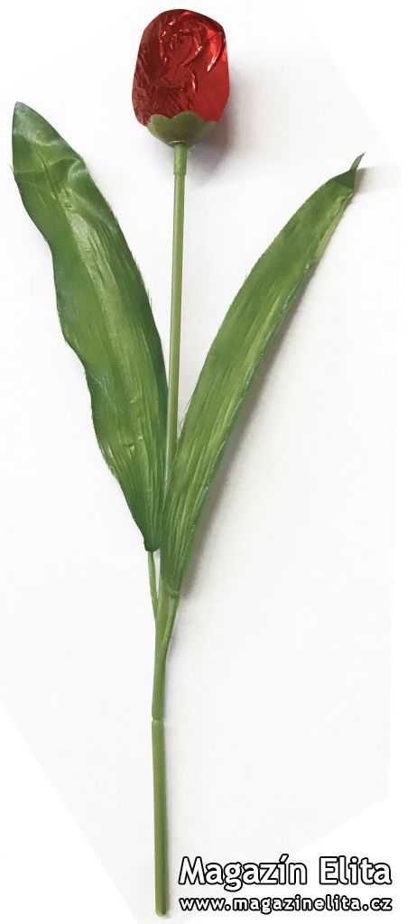 11519