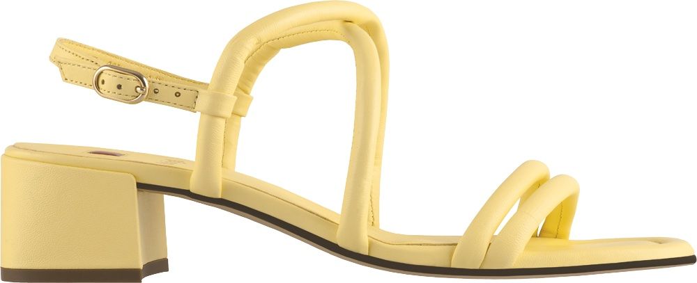 15496