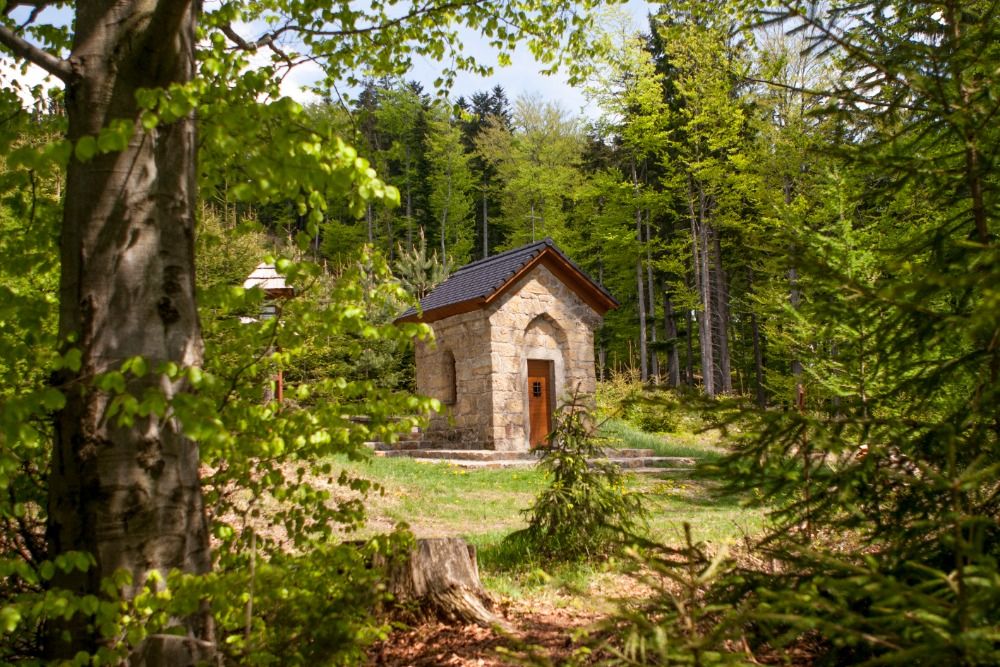 pomalym-krokem-za-tichem-slow-travel-a-mindful-hiking-na-zlinsku-a-luhacovicku