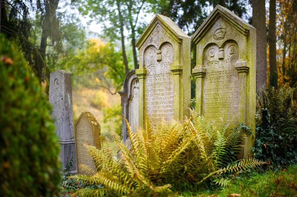 barokni-vysocina-kraj-s-jedinecnou-atmosferou-a-unikatni-architekturou