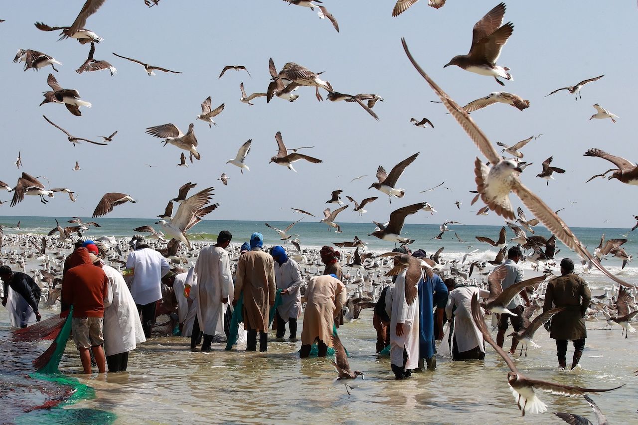 oman-nabizi-plaze-hory-i-bohate-moznosti-poznavani