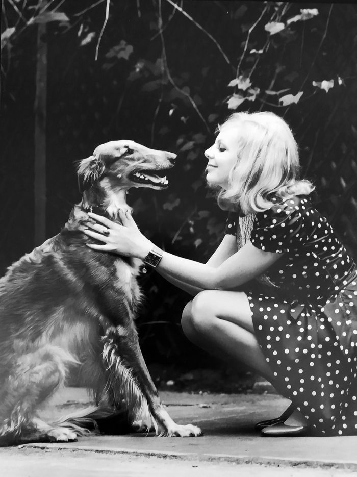 hana-zagorova-jako-zena-mnoha-talentu-nabizi-v-sansonech-krasu-a-odusevnelost