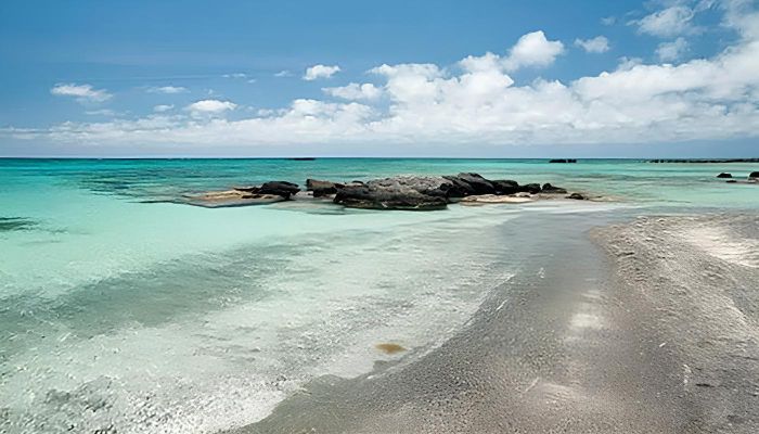 podekovani-zenam-ktere-si-zaslouzi-vic-nez-jen-kvetinu