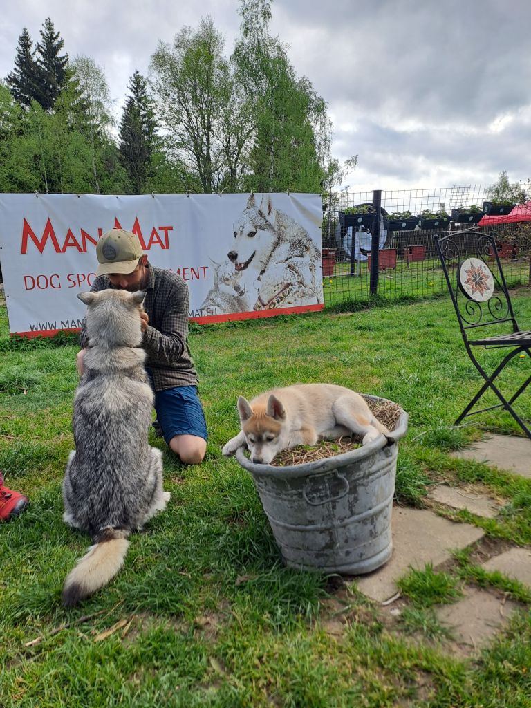 stvoreno-pro-spolecne-zazitky-manmat-pokracuje