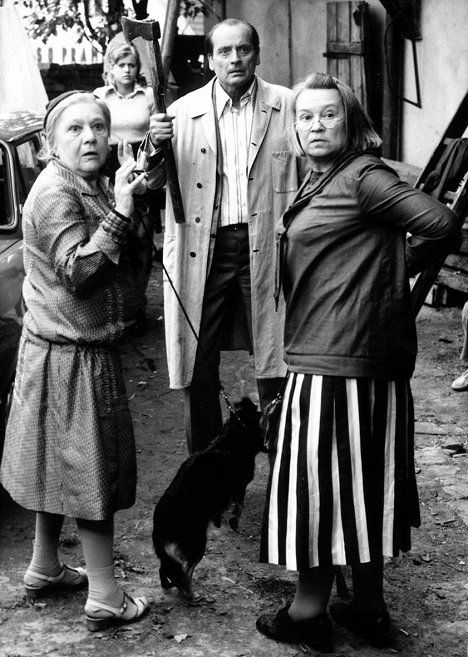 ceska-komedie-drahe-tety-a-ja-patri-k-jiskrivym-filmum-pro-pametniky