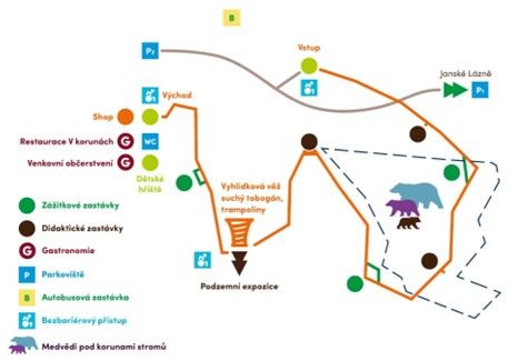 novy-projekt-v-krkonosich-priblizuje-zivot-medvedu-v-horskem-lese