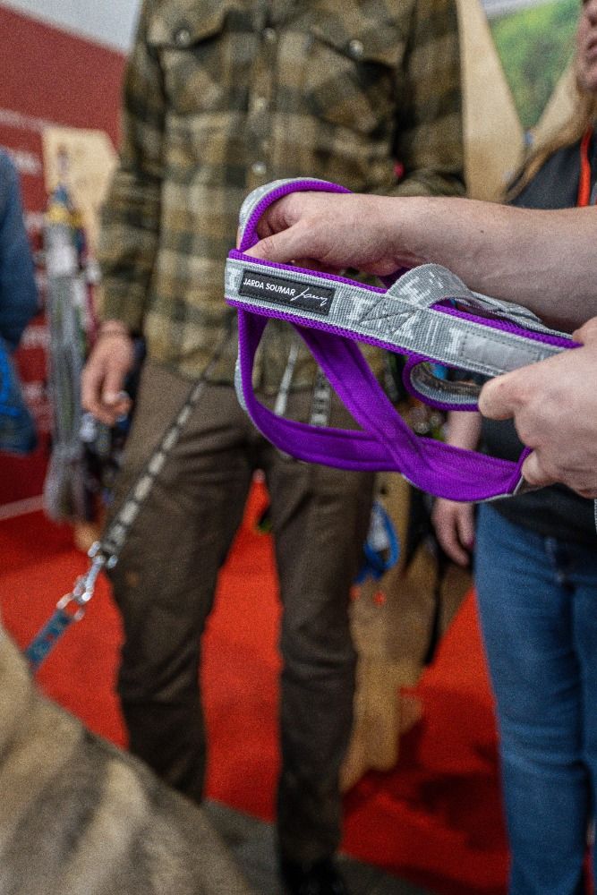 manmat-ceska-znacka-ktera-posouva-svet-psich-sportu