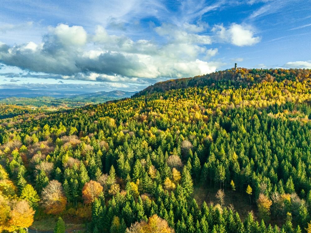 piskovcove-veze-goticka-zricenina-a-vyhledy-na-tri-zeme-kraj-ktery-prekvapi